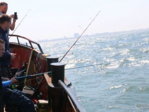 UA230513 Dagtocht Zeevissen ZEEVISSEN 04.jpg